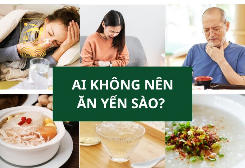 Ai không nên ăn yến sào
