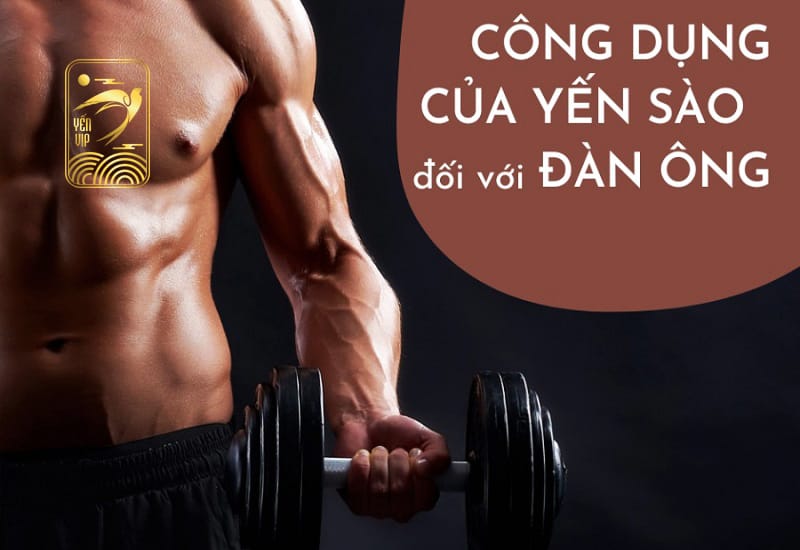 tac dung cua yen sao voi nam gioi 2