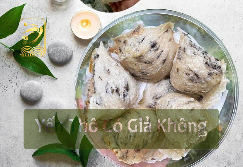 Yến thô có giả không