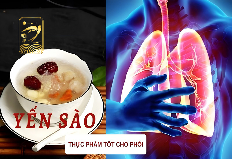 Yến tốt cho phổi