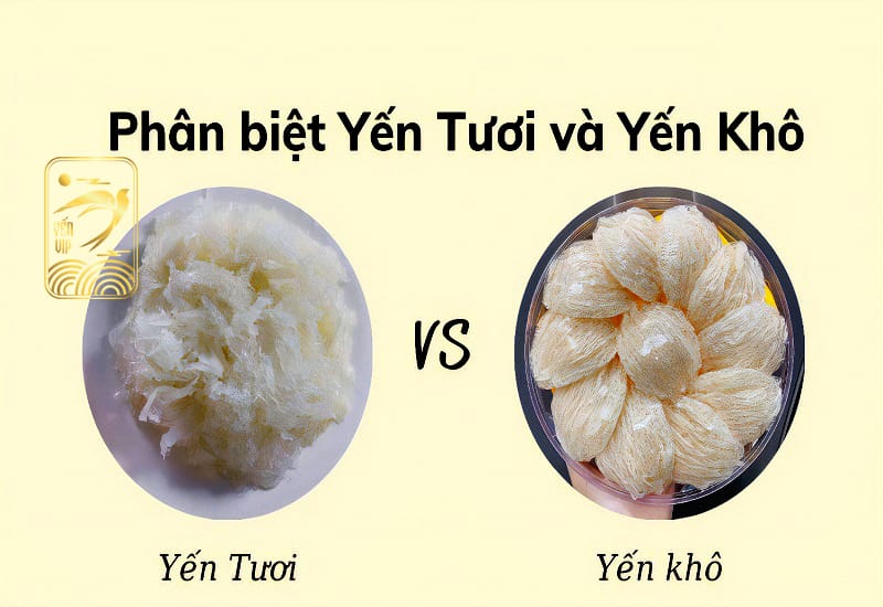 yen tuoi va yen kho1
