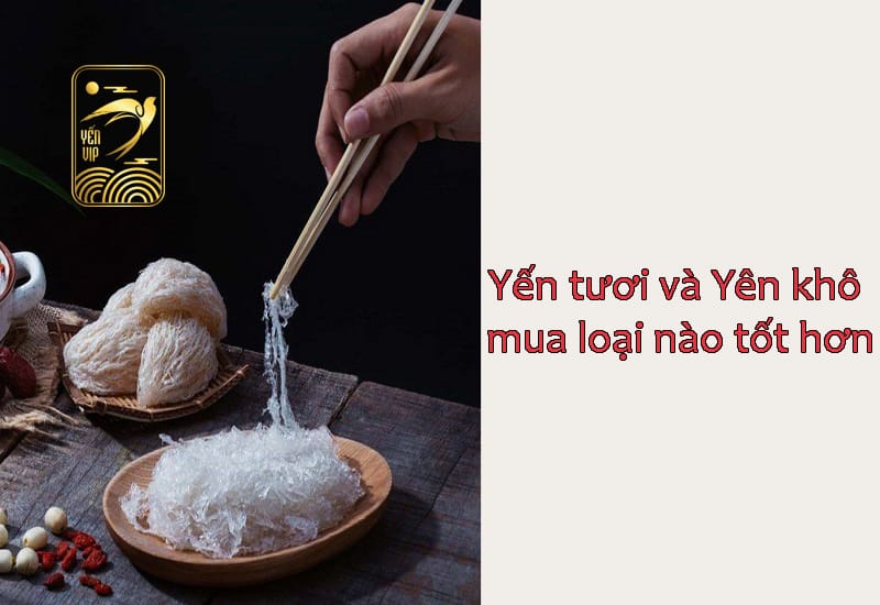 Nhờ giá trị dinh dưỡng cao và nhiều lợi ích cho sức khỏe, tổ yến được nhiều người sử dụng để bồi bổ sức khỏe