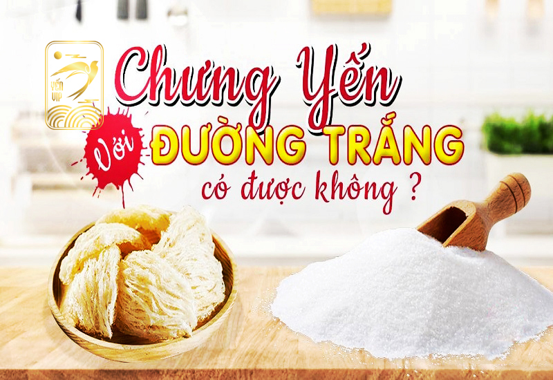 Chưng yến với đường trắng được không