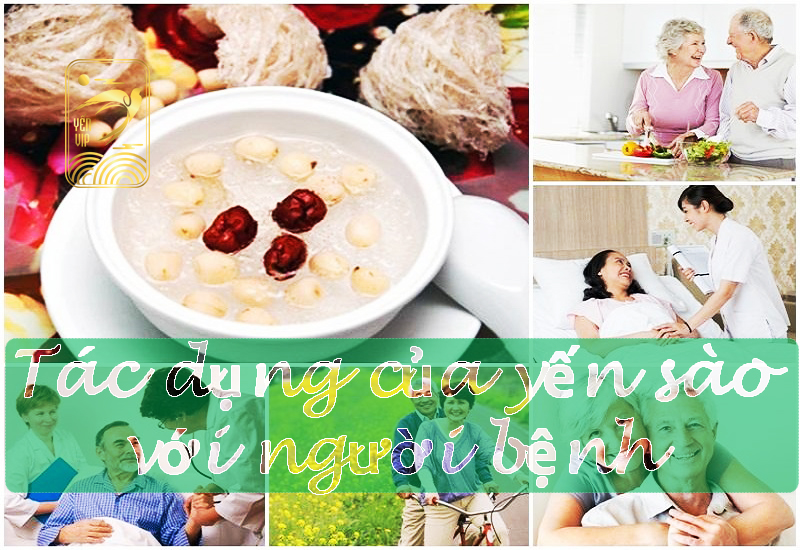 Tác dụng yến sào với người bệnh