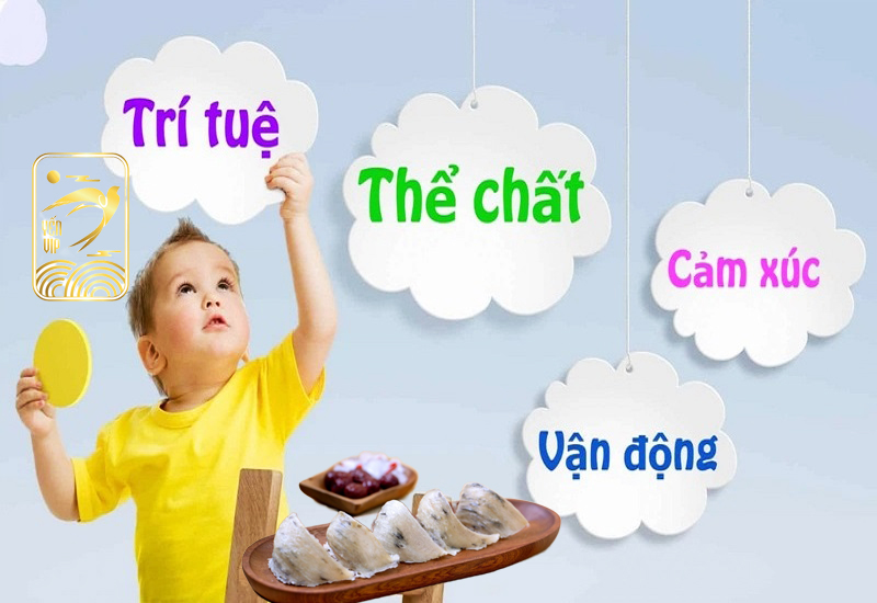 Yến sào sẽ cung cấp rất nhiều dinh dưỡng cho trẻ em