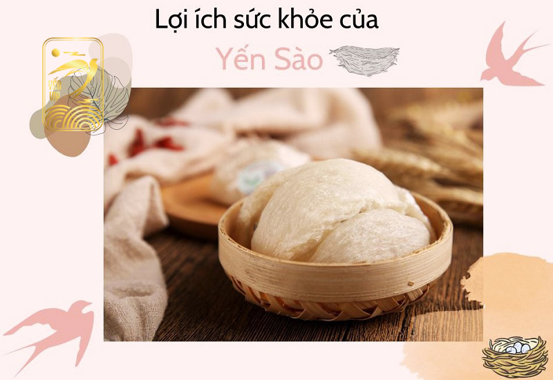 Công dụng của yến sào